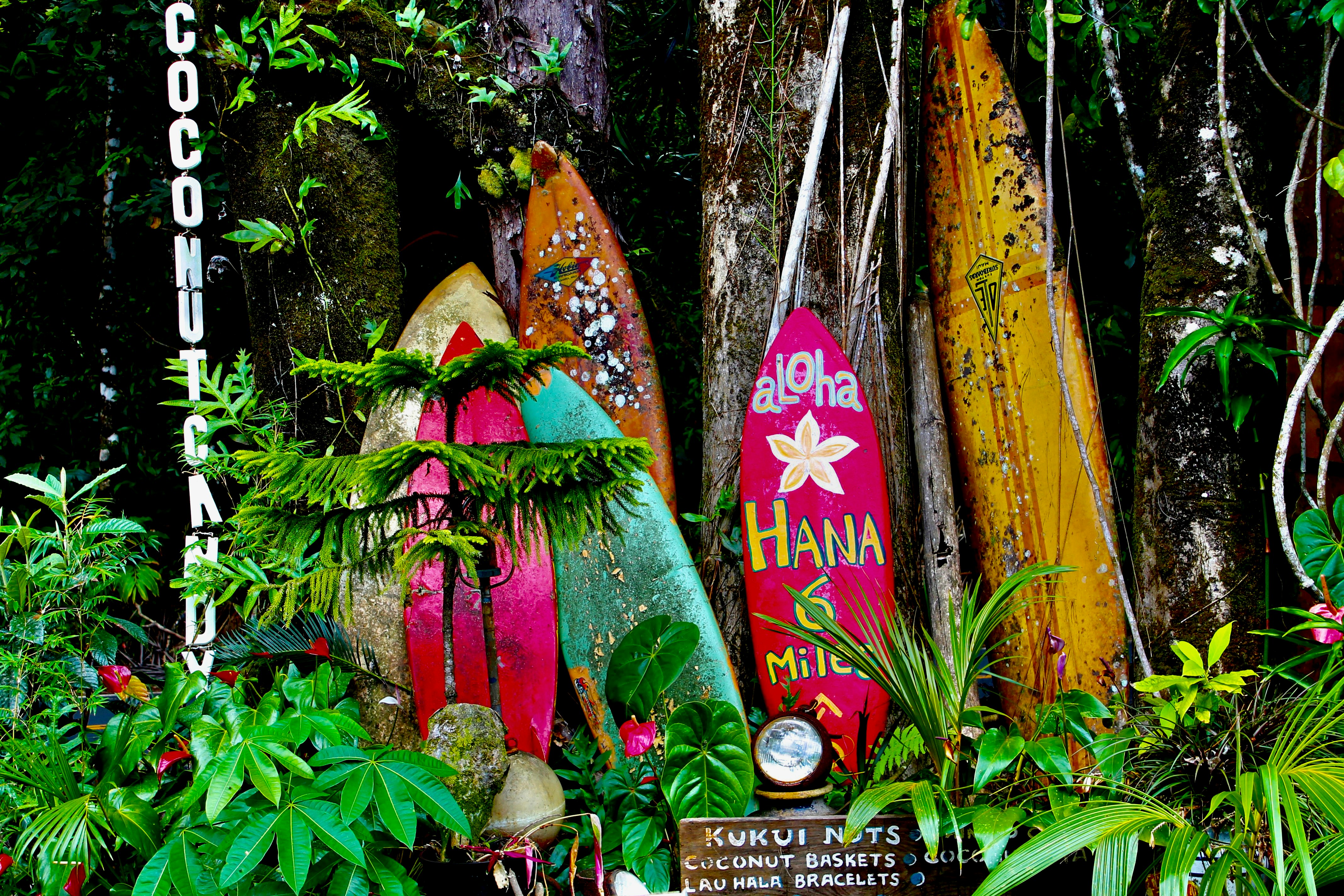 Road to Hana Maui tropical scenery